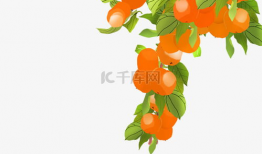 桔子漫画,趣味横生的日常点滴